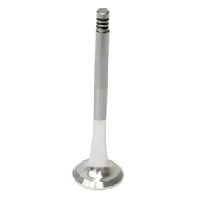 3911 Trw Exhaust Valve For Vw Volkswagen Vanagon Transporter 1985-1991