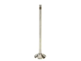 45zrsy19 Trw Exhaust Valve For Q7 A3 Quattro A8 Tt 2008 2004 2005 2006 2007 2009