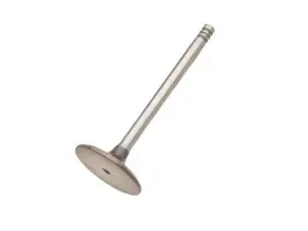 72863gydq Trw For 1986 Bmw 325es Intake Valve