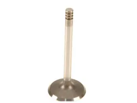 81fffc86 Trw Intake Valve For Vw Beetle Golf Jetta 2004 2005 2006