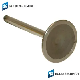 1030532001 Trw Automotive 1998-03 Mercedes 300se 300sel 300e 300te 3matic Engine Intake Valve Oem