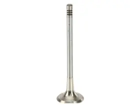 Bn87f1 Trw Exhaust Valve For Passat Jetta Tts Quattro Golf R Beetle Sportwagen A3 A4