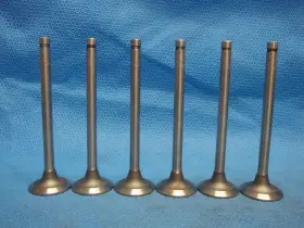 Ex-2020 Trw Gmc 270 248 228 Exhaust Valve Set 6 Valves Single Groove Stem Usa Oem