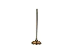Hk37d9 Trw Intake Valve For 530i 128i 325i 325xi 328i Xdrive 328xi 330i 330xi 525i