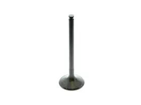 Kh22f1 Trw Intake Valve For C280 300se 300ce 300e 300te E320 300sl 600sec 600sel