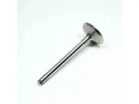 Kj286ff Trw Intake Valve For 1984-1985 Mercedes 500sel