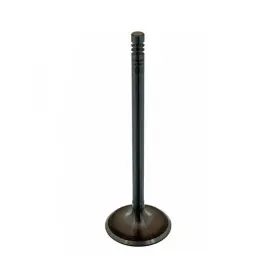 Lr041678 Trw Intake Valve Fits 3.0l Dohc Gdi Sc V6 Petrol