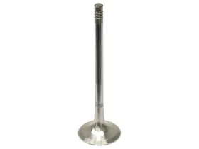 Sk969tk Trw Exhaust Valve For 2003-2005 Land Rover Range 2004