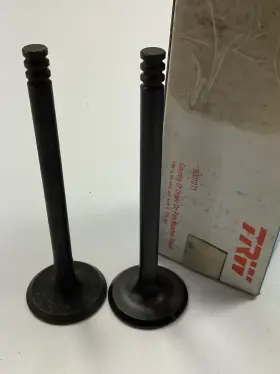 V3049-2 Trw 2 V3049 Engine Intake Valve For 1978-1980 Ford Fiesta 1.6l-l4
