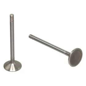 W0133-1633495-trw Trw For Volvo S80 1999-2001 Intake Valve