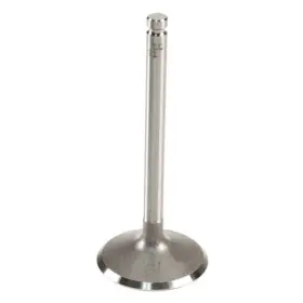 W0133-1637019-trw Trw For Jaguar Xj6 1976-1979 Intake Valve