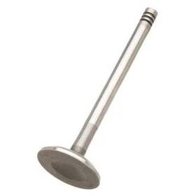Trw W0133-1638821-trw Intake Valve
