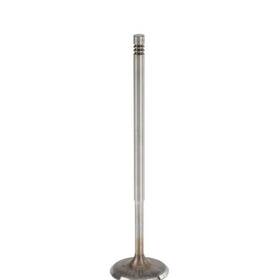 Trw W0133-1762709-trw For Volkswagen Passat 2006-2018 Intake Valve