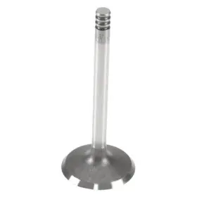 W0133-1768677-trw Trw For Volkswagen Jetta 2004-2005 Intake Valve