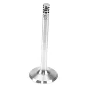 W0133-1768810-trw Trw For Volkswagen Jetta 2005-2006 Exhaust Valve