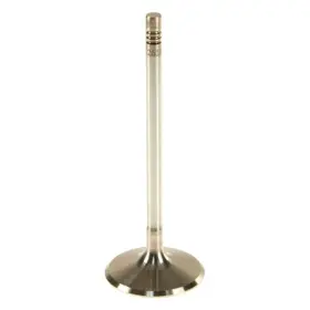 W0133-1791208-trw Trw For Mercedes-benz S400 2010-2013 Intake Valve