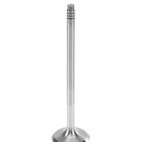 W0133-1795034-trw Trw For Bmw X5 2007-2010 Exhaust Valve
