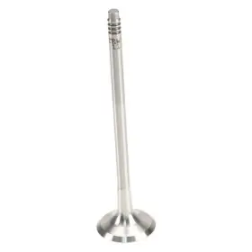 W0133-1955865-trw Trw For Bmw X5 2011-2018 Exhaust Valve