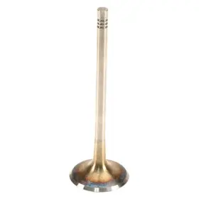 W0133-2014449-trw Trw For Volkswagen Jetta 2014-2021 Intake Valve