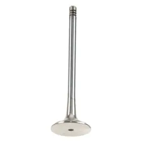 W0133-2076618-trw Trw For Bmw X5 2000-2003 Exhaust Valve