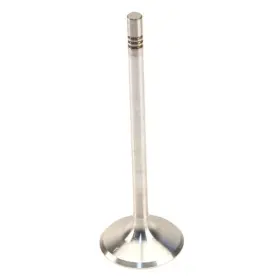 W0133-3690066-trw Trw For Porsche Boxster 2007-2008 Exhaust Valve