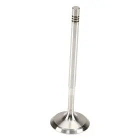 W0133-3699079-trw Trw For Mercedes-benz C250 2012-2015 Intake Valve