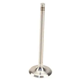 W0133-4355411-trw Trw For Bmw X5 2001-2006 Intake Valve