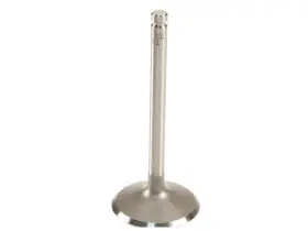 Yy33h9 Trw Intake Valve For 61-78 Jaguar Xj6 Xke Xj 4.2l 6 Cyl Carb