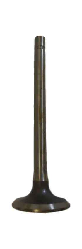 6874 Uknown Part Number Engine Exhaust Valve Brand New
