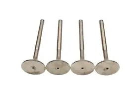 51.134.110 Vanguard 021-2357 44-01856 Vera Exhaust Valves Qty 4 Nos