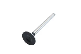 021-0377 Vera Exhaust Valve Nos