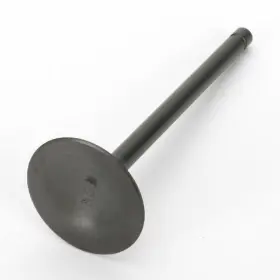 Gh-3009-in Vesrah Racing Intake Valve