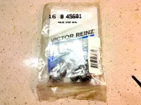 B45601 Victor Valve Stem Seal Set 16 1969-2014 Nissan Infiniti Suzuki