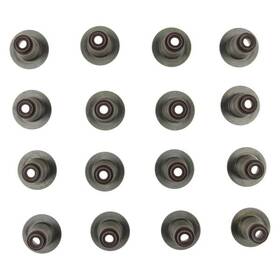 Victor Reinz 12-10030-01 For Ram 1500 2011-2013 Valve Stem Oil Seal Set