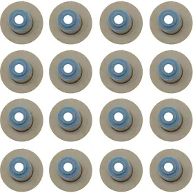 12-10045-01 Victor Reinz Engine Valve Stem Oil Seal Set