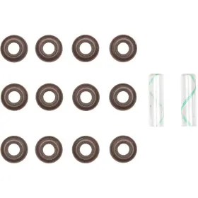 12-10052-01 Victor Reinz Engine Valve Stem Oil Seal Set
