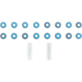 12-10114-01 Victor Reinz Engine Valve Stem Oil Seal Set