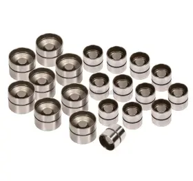 Ma-4216893986 Volkswageb Vw Genuine Audi Hydraulic Lifters 97-06 A4 Tt Golf Passat 1.8l Turbo 20v
