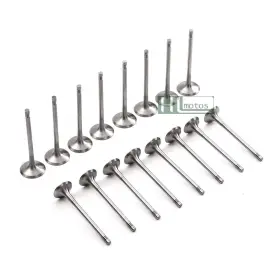 Volkswagen 06d 109 601 16pcs Engine Intake And Exhaust Valves Set For 1.8t 2.0t Vw Gti Gli Audi A3 Seat