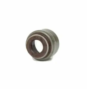 20924435 Volvo Valve Steam Seal Kit Set Of 24 For Voe
