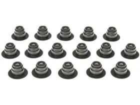 25fpch49 Vr Gaskets Intake And Exhaust Valve Stem Seal Kit For Qvale Mangusta 2001 2002