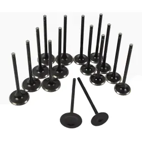 021-3534 Wfyb Intake Exhaust Valve For Honda Accord Dx Ex Se 2.3 1998-2002 F23a1 F23a4 F23a5