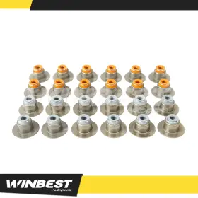 Wbvss2963 Winbest Autoparts Valve Stem Seals Set For 2003-2012 Dodge Ram 2500 3500 5.9l 6.7l Diesel Ohv 24v