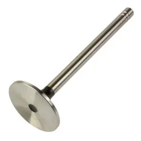 Wa901-08-3461 World American Exhaust Valve 3300