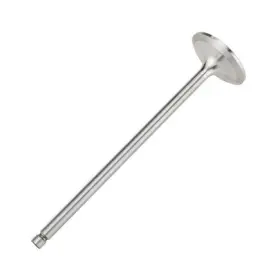 Wa901-08-3470 World American Intake Valve 3114 3116