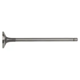 Wa902-08-3481 World American Engine Intake Valve Fits L10 M11 For Cummins
