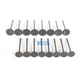 Cm5e6505ad Wxhywwf 2.0l 16 Intake And Exhaust Valves Fit For Ford Focus Ecosport
