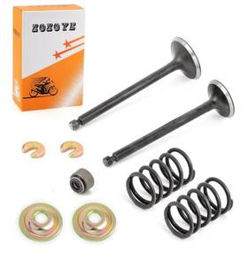 Zozoye 733998537202 Intake And Exhaust Valve Seal Spring Rebuild Kit For Golf Cart