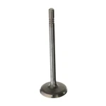 New Oem Ford 1999-2019 Crown Victoria E-150 Engine Exhaust Valve XL3Z-6505-AA. Price: $76.44.