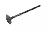 Genuine Gm Engine Exhaust Valve 19185600 New. Price: $23.93.